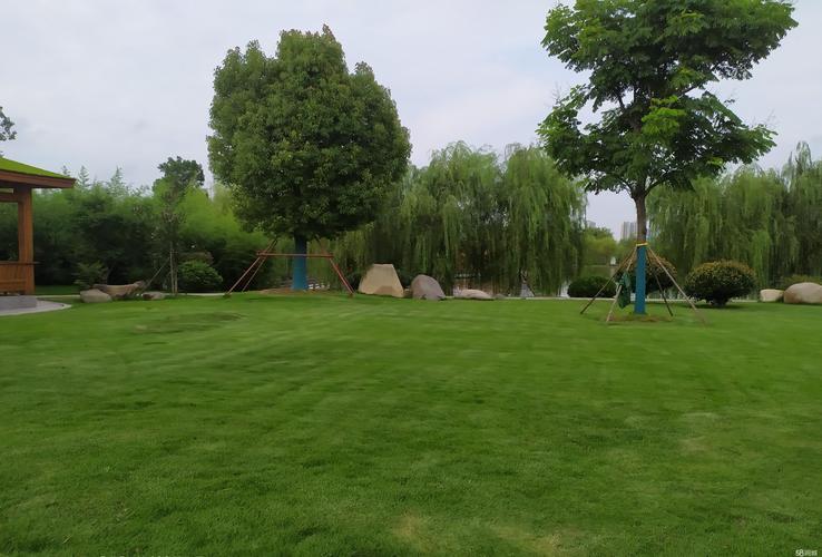 科学采购指南:如何找到并评估附近可靠的绿化草坪供应商 科学采购指南:如何找到并评估附近可靠的绿化草坪供应商