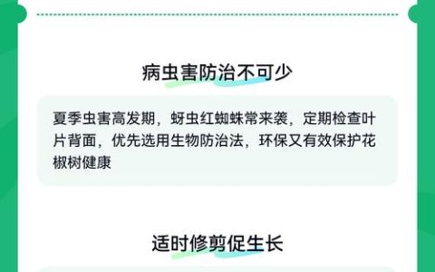 花椒树家庭种植养护指南：从浇水到修剪的实用技巧