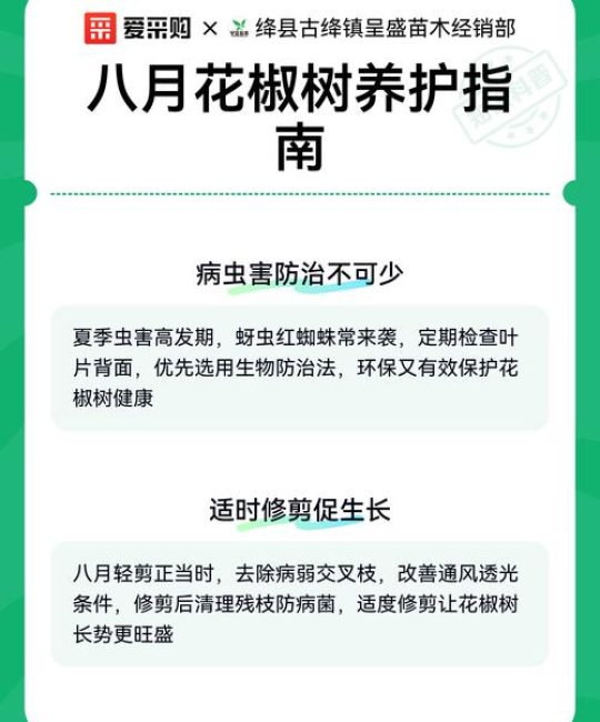 花椒树家庭种植养护指南：从浇水到修剪的实用技巧