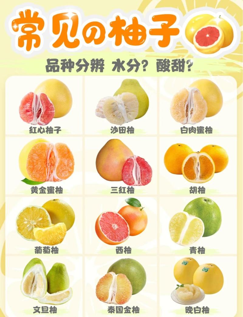 柚子树多少钱?2026年市场价格参考与选购指南 运输成本占比10%-30%,近距离采购更优