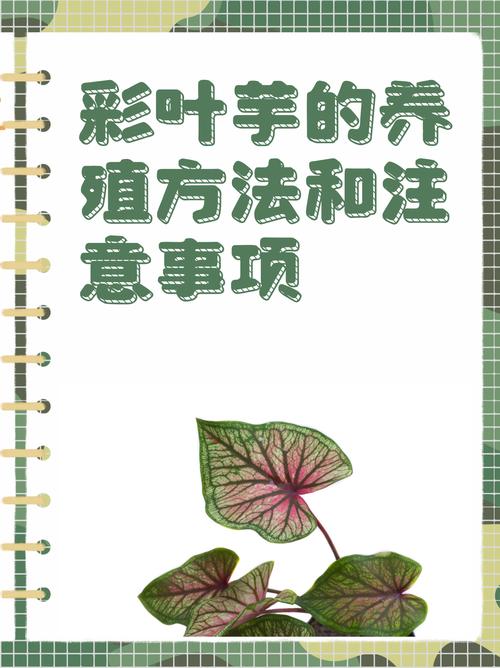 四、土壤要求