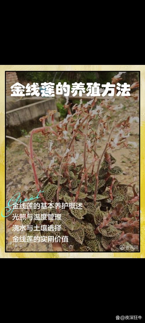 二、土壤环境