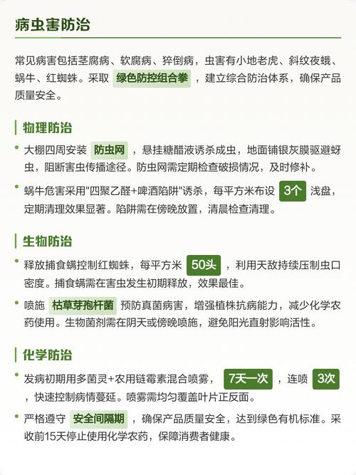 四、栽植深度