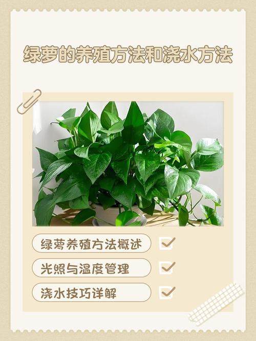 水培植物如何养得好?从浇水到换盆的完整养护指南 修剪:及时清理黄叶和烂根,促进植物健康生长
