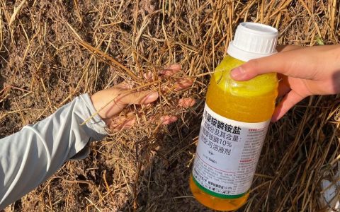 水稻田里牛筋草用什么除草剂？科学防治全攻略