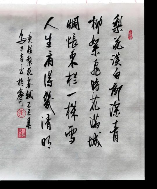 西府海棠花怎么养？花期、修剪与越冬全攻略