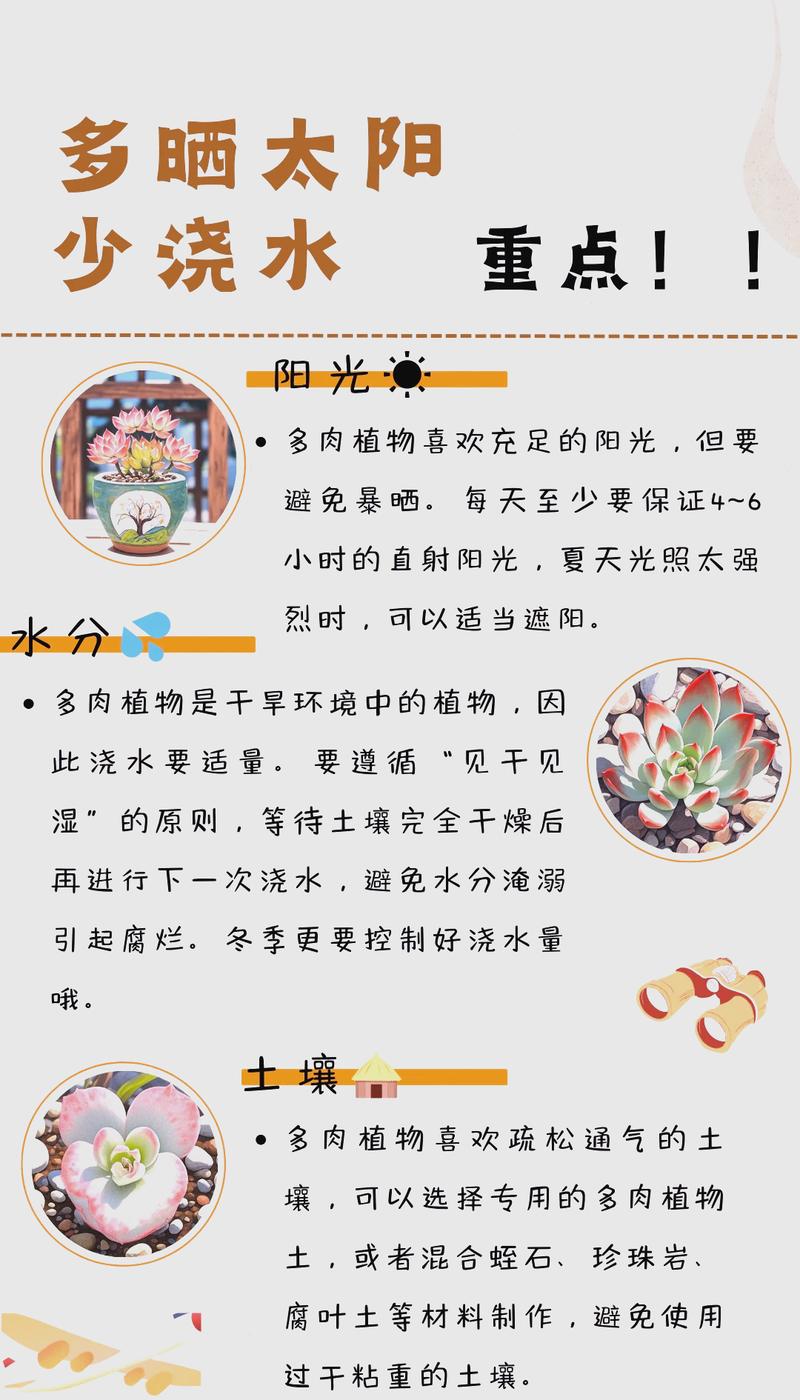 冰种雪花棉木那料在园艺中的诗意诠释——多肉植物鉴赏与养护指南 养护要点:养出“木那料”级别的通透感
