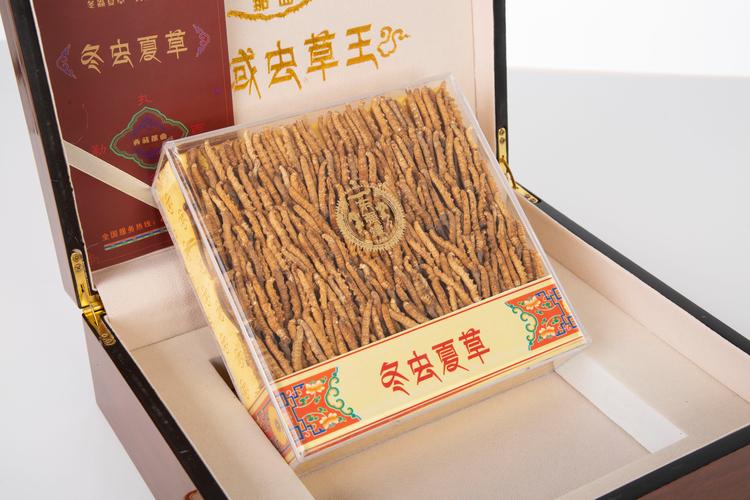 野生冬虫夏草哪里买?采购渠道分析与科学鉴别指南 综合评估结论