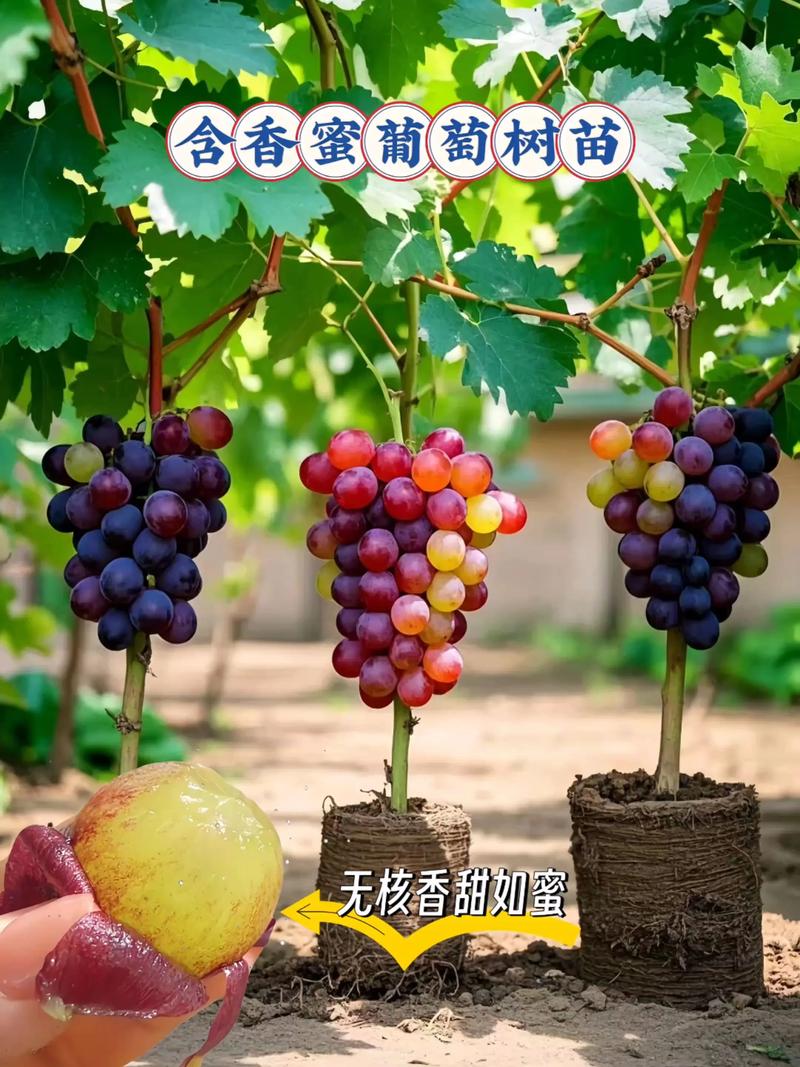 四、一句话选择建议