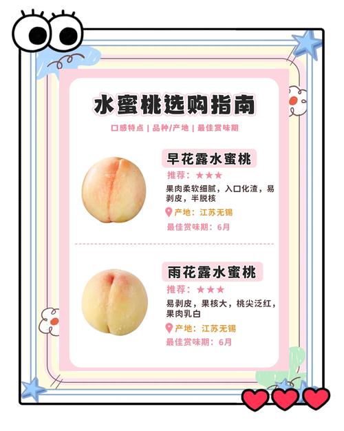 三、场景化选择建议