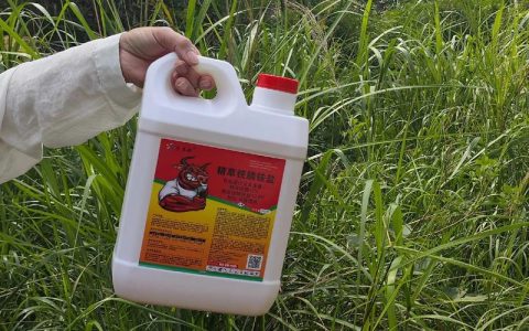 彻底根除杂草用什么除草剂？草甘膦与草铵膦的终极选择指南
