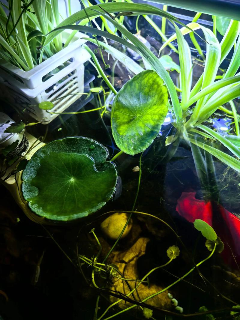8. 总结