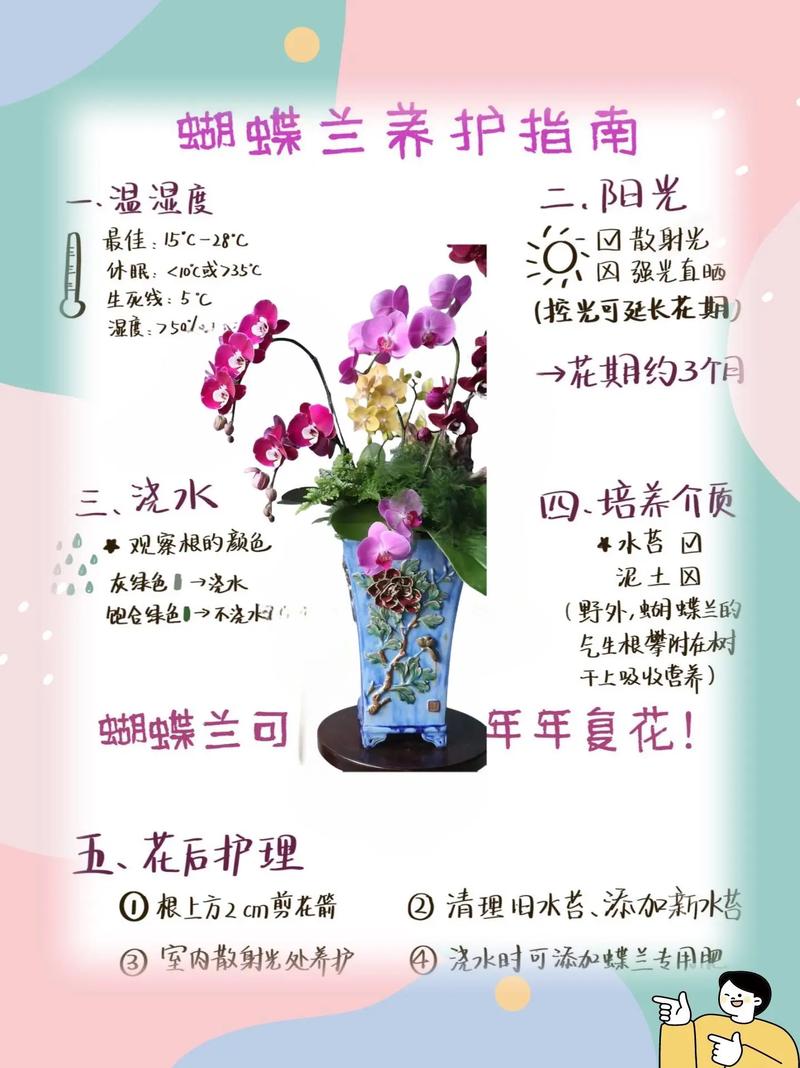 蝴蝶兰的养殖方法:花土怎么配才能养出好状态? 越冬越夏:温度稳定是关键,保暖与通风各有侧重