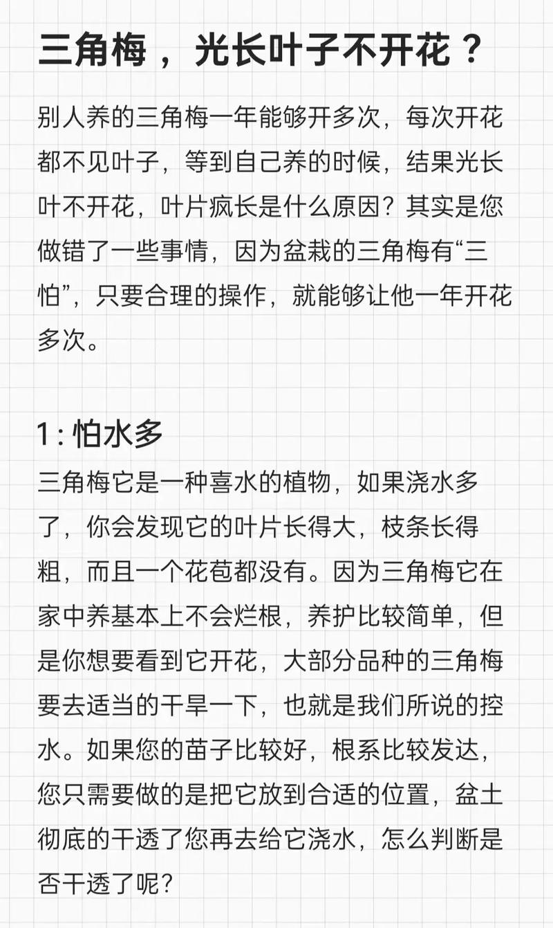 三角梅常年开花吗?花期时间表、促花技巧与不开花原因详解 五、FAQ