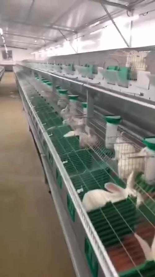 数量因素：批量采购享受阶梯折扣
