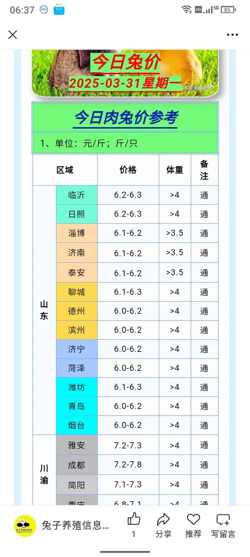 个性化价格咨询指南