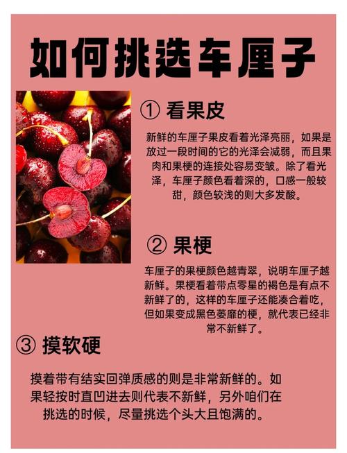 手把手教你种车厘子:从选时到成活的7步实操指南 七、成活注意事项