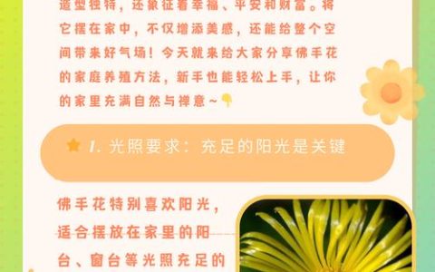 佛手花冬天怎么养？家庭园艺专家教你六个正确的养护步骤