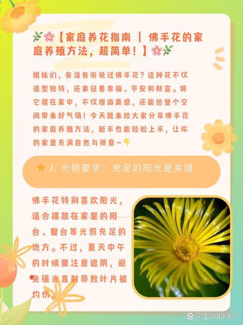 佛手花冬天怎么养：家庭冬季养护指南