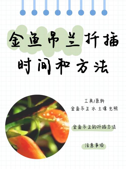 扦插时间决定成败:不同植物与扦插方式的最佳时机全解析 三、反季节扦插的补偿措施