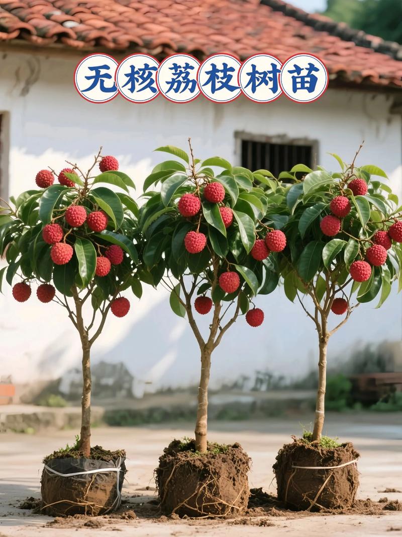 南方种植与北方种植的差异化建议