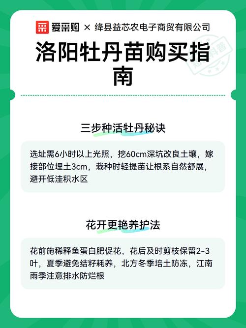 牡丹苗采购渠道指南:如何科学选择供应商,避开虚假渠道与低质苗木 第四步:检疫合规与售后补苗政策审核