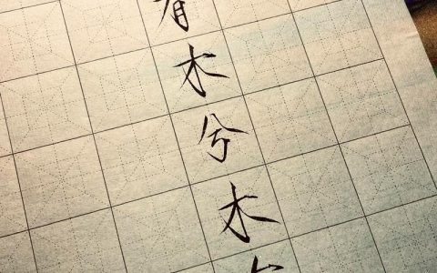 山上有木木有枝：从《越人歌》的古韵到庭院中的诗意表达